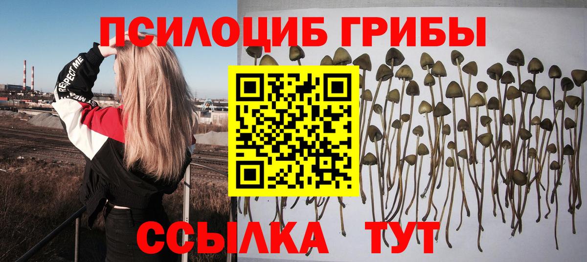 Коммунар  где можно купить наркотик  Вход с VPN  Галлюциногенные грибы GOLDEN TEACHER 